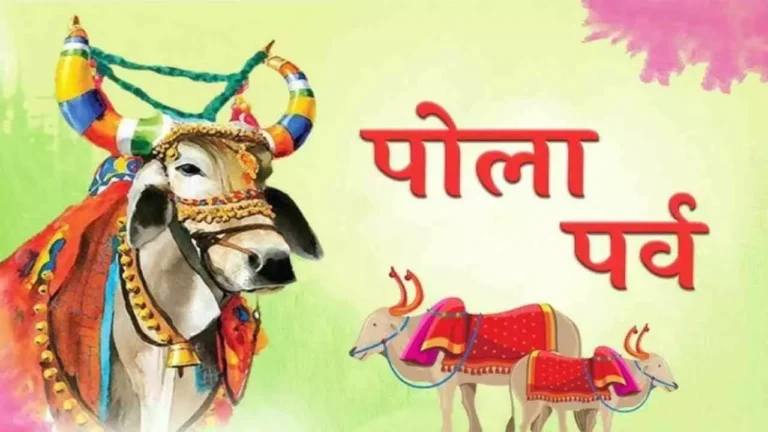 Bail Pola Festival History: बैलों के सम्मान में ऐतिहासिक पर्व, जानिए बैल पोला का इतिहास और महत्त्व