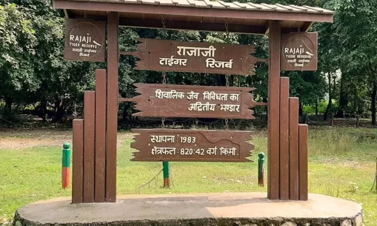 Dehradun Rajaji Tiger Reserve: खुलने जा रहा देहरादून का राजाजी टाइगर रिजर्व