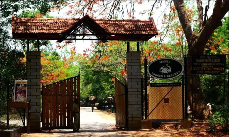 Kabini Forest Reserve: कर्नाटक का काबिनी वन रिजर्व, जहां हाथी घूमते हैं और बाघ दहाड़ते हैं