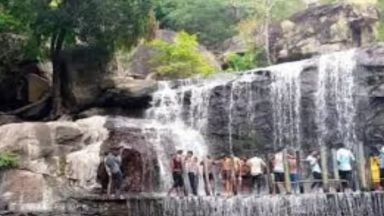 पोलाची: तमिलनाडु की गोद में बसा प्रकृति का अनमोल खज़ाना