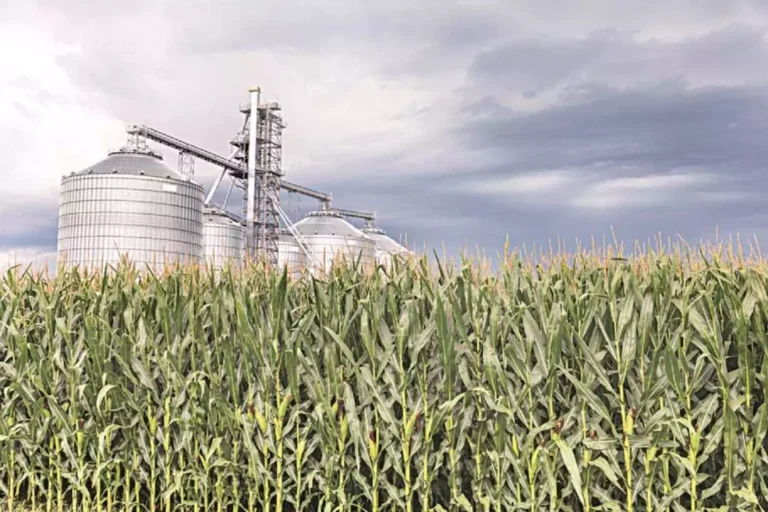 Dream of a ‘Green Bihar’ is taking shape: अब चावल-मक्का से बनेगा ईंधन, मिलेगा 10 हजार को रोजगार