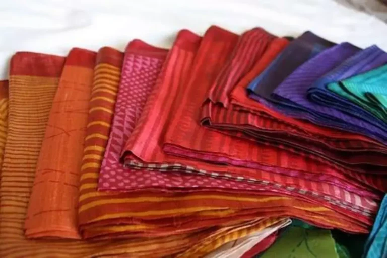 World famous Bhagalpuri Silk Saree from Bihar: बिहार की इस साड़ी पर फिदा है पूरी दुनिया