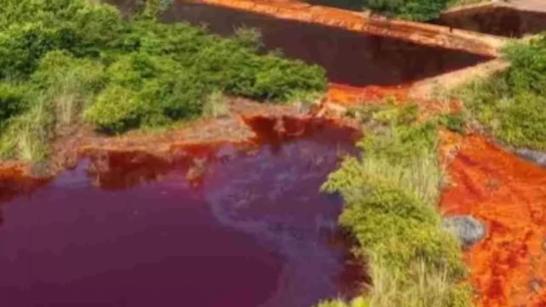 River Of Blood: बिहार में बहती है खूनी नदी, दिखने में बेहद डरावनी, क्या है आत्माओं का डेरा?