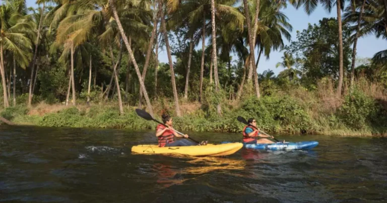 Pongola River mei Kayaking: आइए जाने दक्षिण अफ्रीका के जंगलों में एक यादगार सफर के बारे में