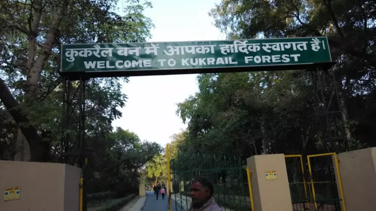 Lucknow Kukrail Forest: नए साल में लखनऊवासियों को मिलेगा ये तोहफ़ा, पर्यटन और रोज़गार को मिलेगा बढ़ावा